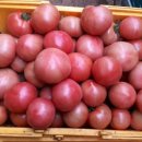 팔형제 농장 이미지