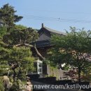 내돈내산 효도하기)) 울산가천린포크 후기