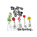 나날 이미지
