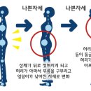 엔파이