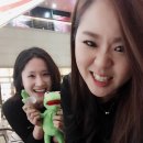 판올렛 | [신도림맛집] 올렛이와♡이춘복참치/투썸티라미슈