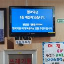 봉래약국 | 울릉도 여행 1일차 일정🚢 배 타고 떠나는 3박4일 코스 (+렌트정보부터 스노쿨링 스팟까지)