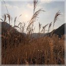 청주에서의 특별한 주말 미몽스크린골프펜션 후기