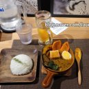 단(DAN) | 삿포로 스프카레 바 단(DAN) 방문 후기