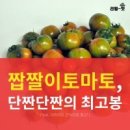 짭짤이 토마토 이미지