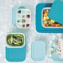 타파웨어 이미지