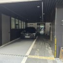ANEW(아뉴)헤어