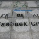 영재태권도체육관 이미지