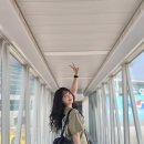 6109 | 현대면세점 무역센터점 프라다 리나일론 백팩(미디엄) 할인 구매 후기