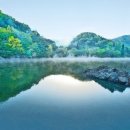 개밥나라 이미지