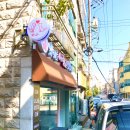 냥이를 사랑하는 멍멍이 이미지