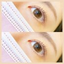 유어래쉬 이미지