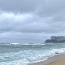 천상중앙길 | 속초중앙시장 먹거리 추천 벌집아이스크림 오레오츄러스 코끼리꽈배기 내돈내산 후기