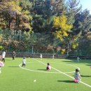 가을 풍경이 예쁜 풋살장에서 신나게 공놀이를 했어요 🍂🍁⚽️ 이미지