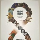 지식행상인
