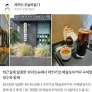 부천로85번길 | [부천][애견동반] 신중동 조용하고 분위기 좋은 “매슬로우커피”