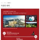 더화이트호텔리조트 이미지
