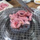 영선꼼장어.바다장어 이미지