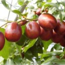 성리농장 이미지