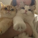 정훈동물병원 이미지