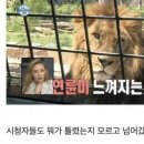 더오타임 이미지