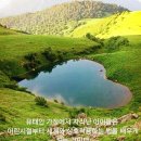 국산밀가루.토종밀가루☞ 클릭,보리싹의 효능,보리밟기를 하는 이유 이미지