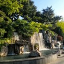 7월18일 (금요일) 보라매 국제정원 박람회 커플모임(마감입니다) 이미지