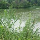 삼보아파트경로당 이미지