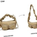 부산 강아지분양 디테일퍼피 이미지