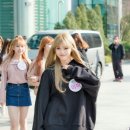 미미 이미지