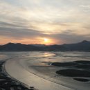 순천만습지 이미지