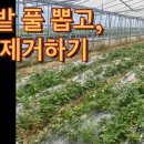 김원섭농장 이미지