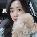 바우개펜션 이미지
