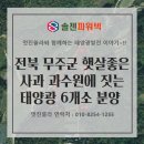 햇살농장 태양광 이미지