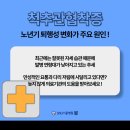 노년기에 흔한 요통 이미지