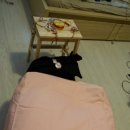 하은의집 이미지