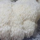 행복쉼터 이미지