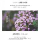 백리향 - 용인시 처인구 금학로 197 | 백리향