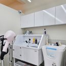 신세계 애견미용샵 이미지