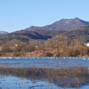 일출물빛 이미지