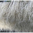 금이농장 이미지