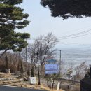 오트디자인 | 석모도 바다뷰카페 '순간의 순간' 비건 디저트 오트밀크 아이스크림 내돈내산 후기 + 애견동반 가능