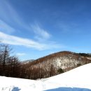 대신목장 이미지