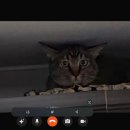 미야옷장 이미지