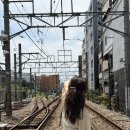 스시모치 | 🇯🇵도쿄 3박 4일 자유여행 일정 총정리. 긴자·시부야·지유가오카 맛집 일본 쇼핑 코스