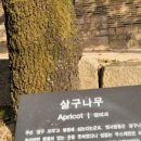 밀알고시원