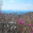 상부상회 이미지