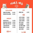 캬베츠 이미지
