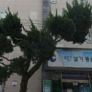 서대신1동(주민센터) 이미지