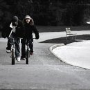 세실예술기획 이미지